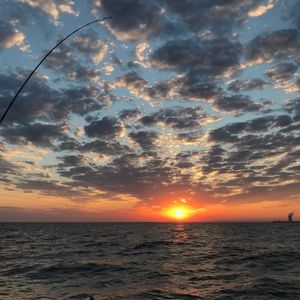 Meet your Posher, Todd